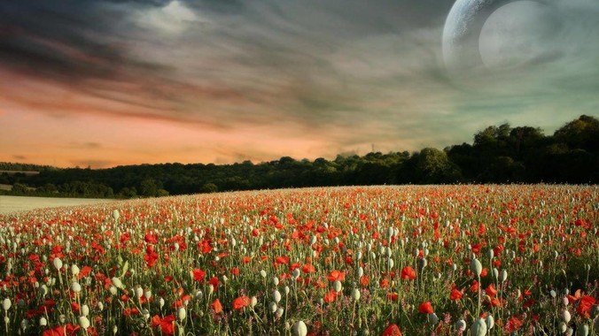 雷军为什么不愿意用性价比打法进军NAS？